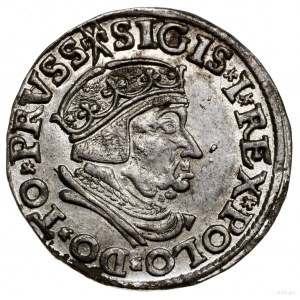 Trojak, 1537, mennica Gdańsk; końcówka na awersie PRVSS...