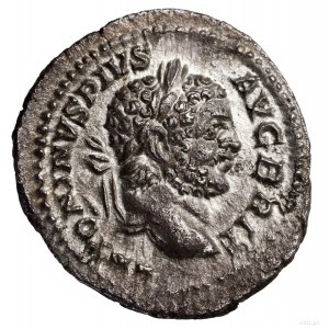 Denar, 212, Rzym; Aw: Głowa cesarza w wieńcu laurowym w...