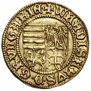 Goldgulden, bez daty (1443), Sybin (węg. Nagyszeben); A...