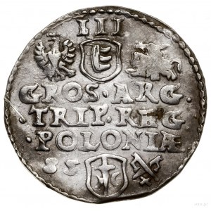 Trojak, 1585, Poznań; mała głowa króla (popiersie bez r...