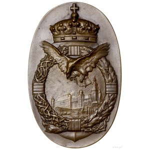 Medal pamiątkowy Akcji Niepodległościowej w Krakowie (j...
