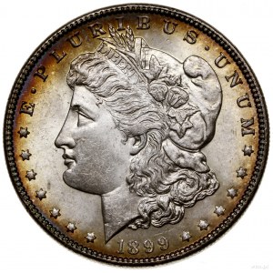 1 dolar, 1899, Filadelfia; typ Morgan; KM 110; srebro p...
