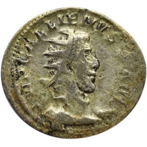 Cesarstwo Rzymskie, Galien (253-268), antoninian, Kolonia, RIC 18