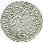 Zygmunt II August, półgrosz 1547, Wilno, bardzo ładny