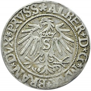 Prusy Książęce, Albrecht, grosz pruski 1537, Królewiec