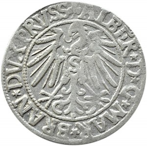 Prusy Książęce, Albrecht, grosz pruski 1545, Królewiec