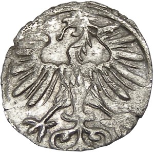 Zygmunt II August, denar 1556, Wilno