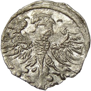 Zygmunt II August, denar 1546, Wilno, bardzo rzadki (R6!!!)