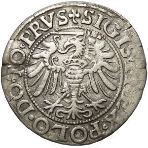 Zygmunt I Stary, grosz 1539, Elbląg, ładny egzemplarz