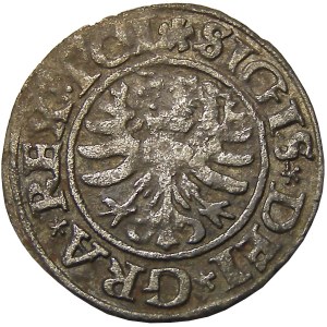 Zygmunt I Stary, szeląg 1531, Gdańsk
