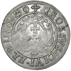 Okupacja szwedzka, Gustaw II Adolf, grosz okupacyjny 1629, Elbląg