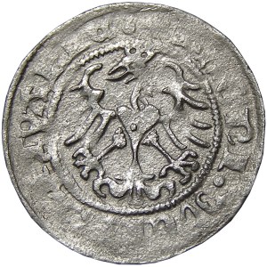 Zygmunt I Stary, półgrosz 1513, Wilno, R4!