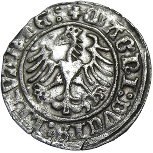 Zygmunt I Stary, półgrosz 1509, Wilno
