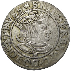 Zygmunt I Stary, grosz 1534, Toruń, PRVSS/PRVSSIE