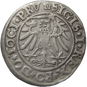 Zygmunt I Stary, grosz 1534, Elbląg, (R2)