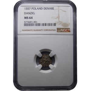 Zygmunt II August, denar 1557, Gdańsk, NGC MS64 MAX NOTA