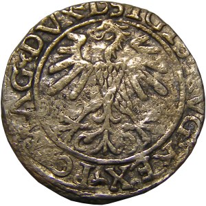Zygmunt II August, półgrosz 1560, Wilno, RR