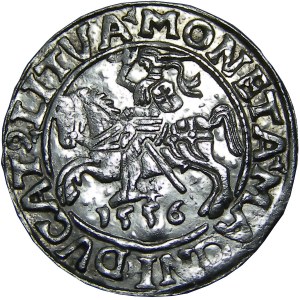Zygmunt II August, półgrosz 1556, Wilno