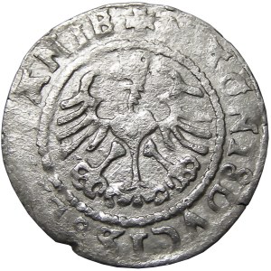 Zygmunt I Stary, półgrosz 1528 MONEA, Wilno, RRRR