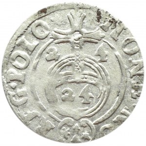 Zygmunt III Waza, półtorak 1624 herb Sas, Bydgoszcz