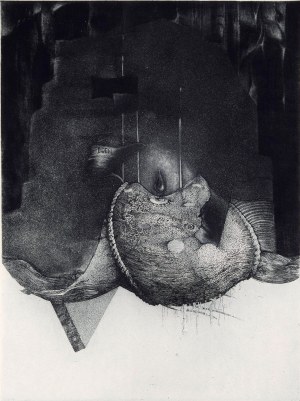 Andrzej Juchniewicz, The drop of elixir, 1985