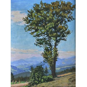Jan Wałach (1884-1979), Pejzaż beskidzki z drzewem, 1957