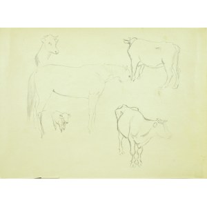 Ludwik Antoni Maciąg (1920-2007), Szkice konia, krowy i kozy