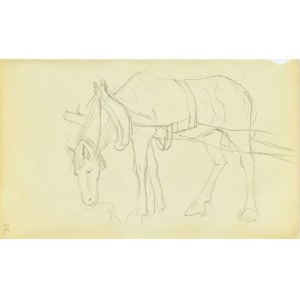 Jacek Malczewski (1854-1929), Koń stojący w zaprzęgu ukazany z lewego boku skubiący trawę