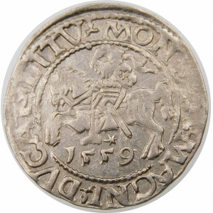 Zygmunt II August, Półgrosz 1559, Wilno – L/LITV