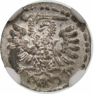 Zygmunt III Waza, Denar 1596, Gdańsk – duża data