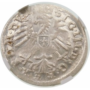 Zygmunt III Waza, Grosz 1609, Wilno – Orzeł i Pogoń bez obwódki