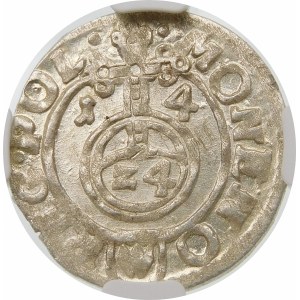 Zygmunt III Waza, Półtorak 1614, Bydgoszcz – Awdaniec w tarczy