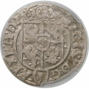 Zygmunt III Waza, Półtorak 1623, Bydgoszcz – Sas w tarczy owalnej