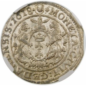 Zygmunt III Waza, Ort 1618, Gdańsk – listek klonu – rzadka i piękna