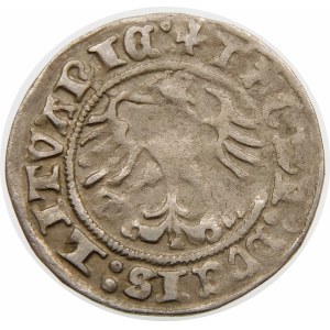 Zygmunt I Stary, Półgrosz 1512, Wilno – Pierścień – dwukropek – rzadka