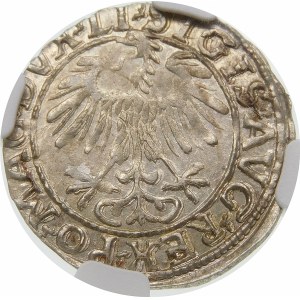 Zygmunt II August, Półgrosz 1557, Wilno – LI/LITVA