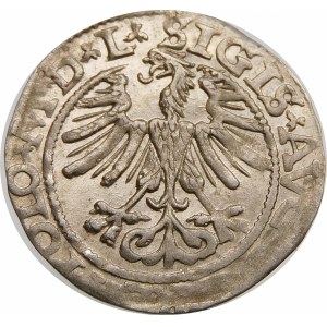 Zygmunt II August, Półgrosz 1565, Wilno – Herb Topór – L/LITV