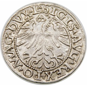Zygmunt II August, Półgrosz 1563, Wilno – Duża Pogoń, Herb Topór – DVX L/LITV