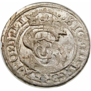 Zygmunt III Waza, Szeląg 1599, Ryga