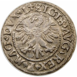Zygmunt II August, Półgrosz 1546, Wilno – stary typ Orła – L/LITV
