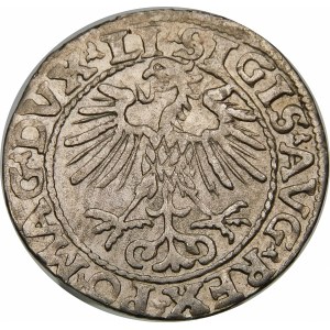 Zygmunt II August, Półgrosz 1553, Wilno – LI/LITVA
