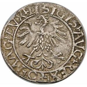 Zygmunt II August, Półgrosz 1561, Wilno – LI/LITVA