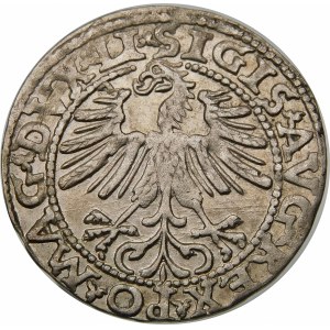 Zygmunt II August, Półgrosz 1563, Wilno – Mała Pogoń, Herb Topór – DVX LI/LITV