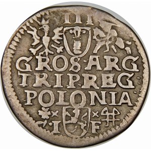 Zygmunt III Waza, Trojak 1595, Wschowa – lilia – data na awersie – odmienne popiersie