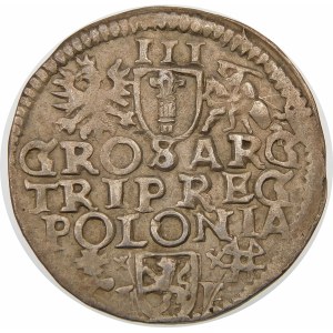 Zygmunt III Waza, Trojak 1595, Wschowa – lilia – data na awersie – ciekawostka