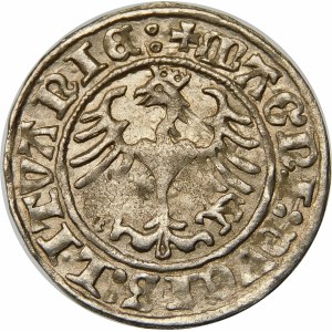 Zygmunt I Stary, Półgrosz 1509, Wilno – Pogoń bez pochwy – dwukropek