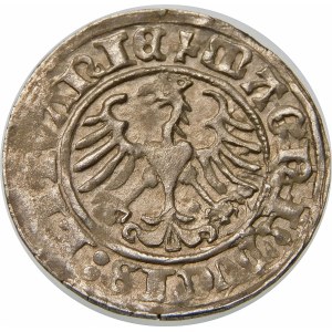 Zygmunt I Stary, Półgrosz 1510, Wilno – duże zero w dacie