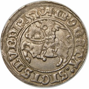 Zygmunt I Stary, Półgrosz 1510, Wilno – duże zero w dacie, czterokropek