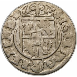 Zygmunt III Waza, Półtorak 1624, Bydgoszcz – Sas w tarczy owalnej – SIGIR