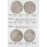 Ivanauskas Eugenijus, Cesnulis Evaldas, Lithuanian Coins of Sigismund August 1545-1571